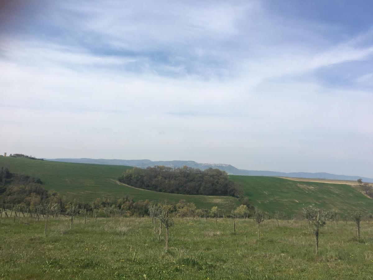 Cordella In Valdorcia Truffle And Olive Oil Resort Montalcino Exterior foto