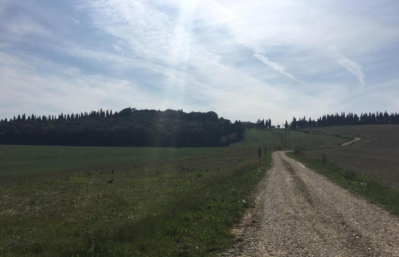 Cordella In Valdorcia Truffle And Olive Oil Resort Montalcino Exterior foto