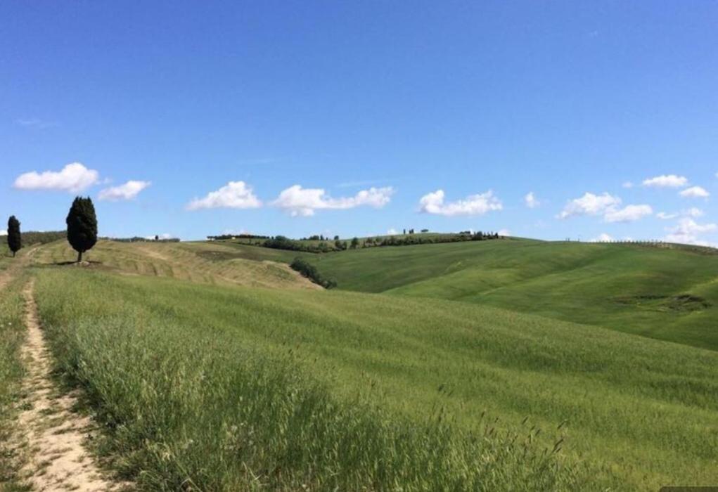 Cordella In Valdorcia Truffle And Olive Oil Resort Montalcino Exterior foto
