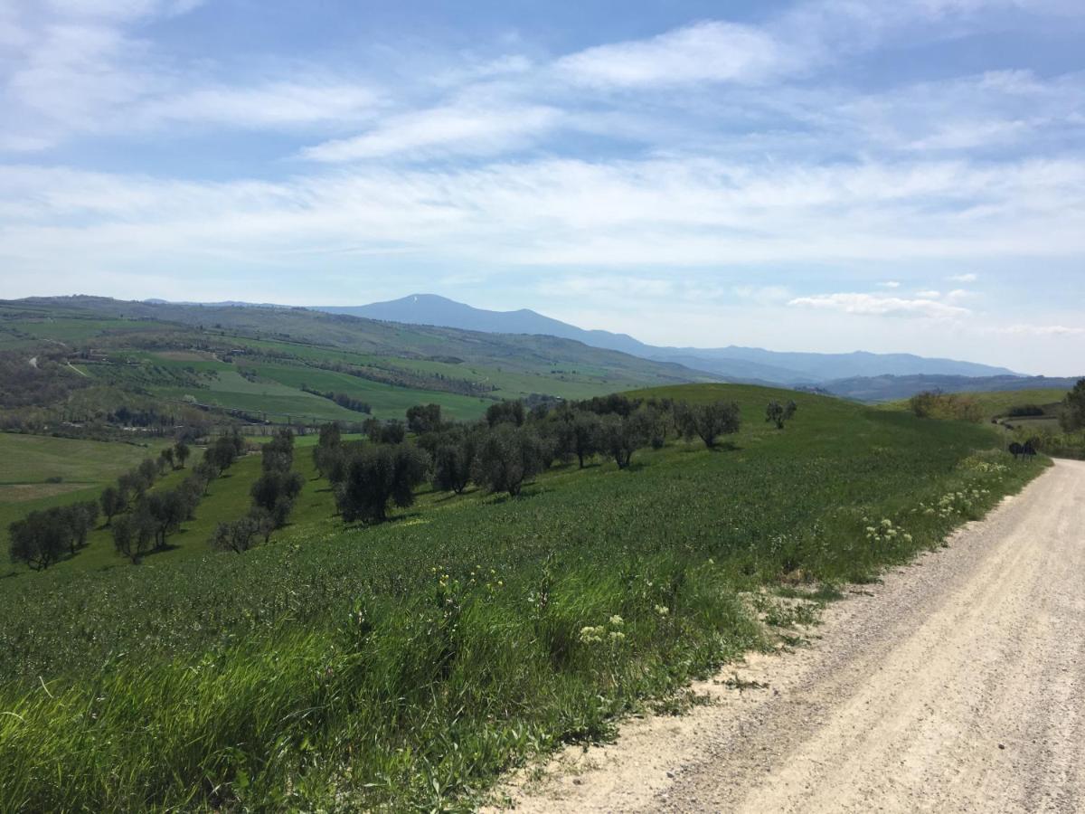 Cordella In Valdorcia Truffle And Olive Oil Resort Montalcino Exterior foto